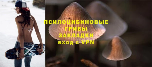 таблы Белокуриха