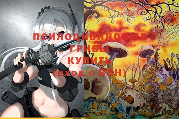 гашик Белоозёрский