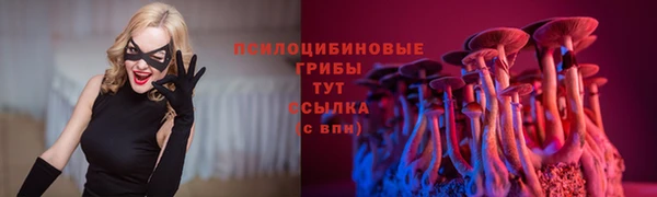 гашик Белоозёрский