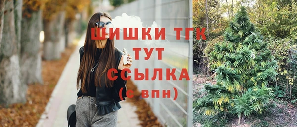 таблы Белокуриха