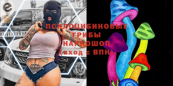 гашик Белоозёрский