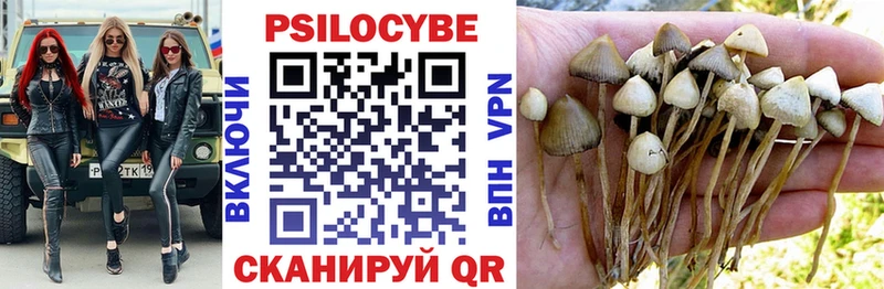 Галлюциногенные грибы GOLDEN TEACHER  Купить закладки  Дальнереченск 